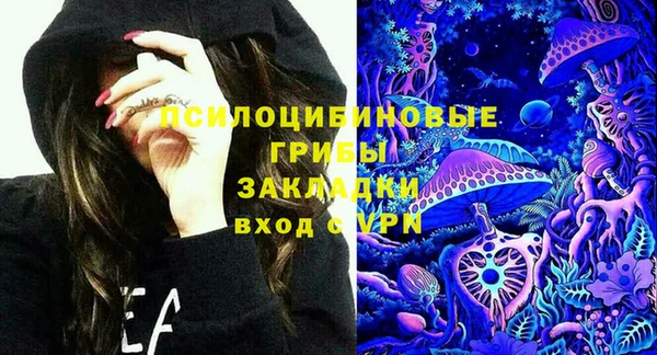 стаф Богородск