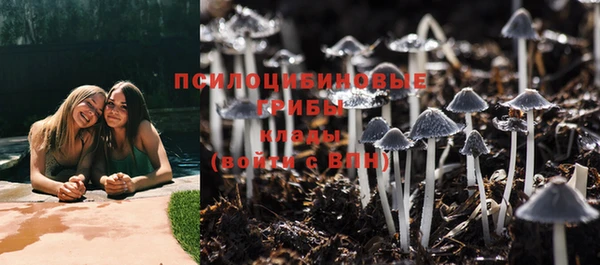 прущая мука Богданович