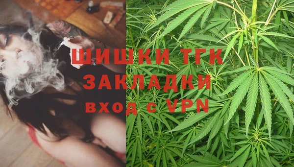 стаф Богородск