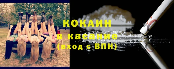 шишки Беломорск