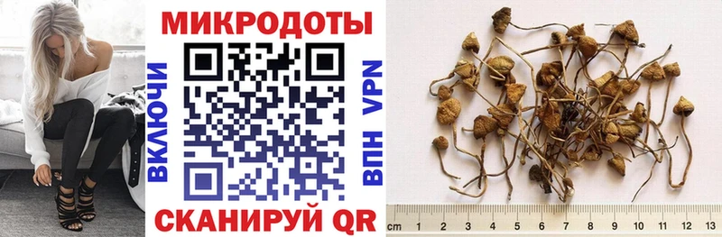 Галлюциногенные грибы ЛСД  закладки  Ессентукская 