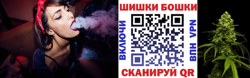 Каннабис индика  Ессентукская 